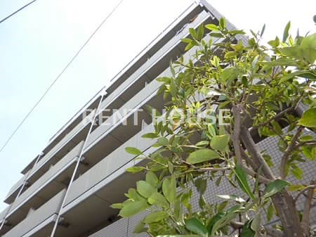 1DK Mansion in Setagaya, Tokyo - Image 1