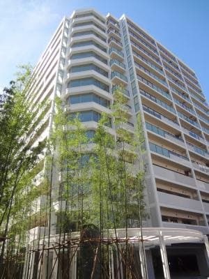 1LDK Mansion in Minato, Tokyo - Image 1