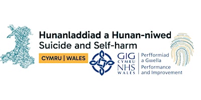Support After Suicide for Children and Young People