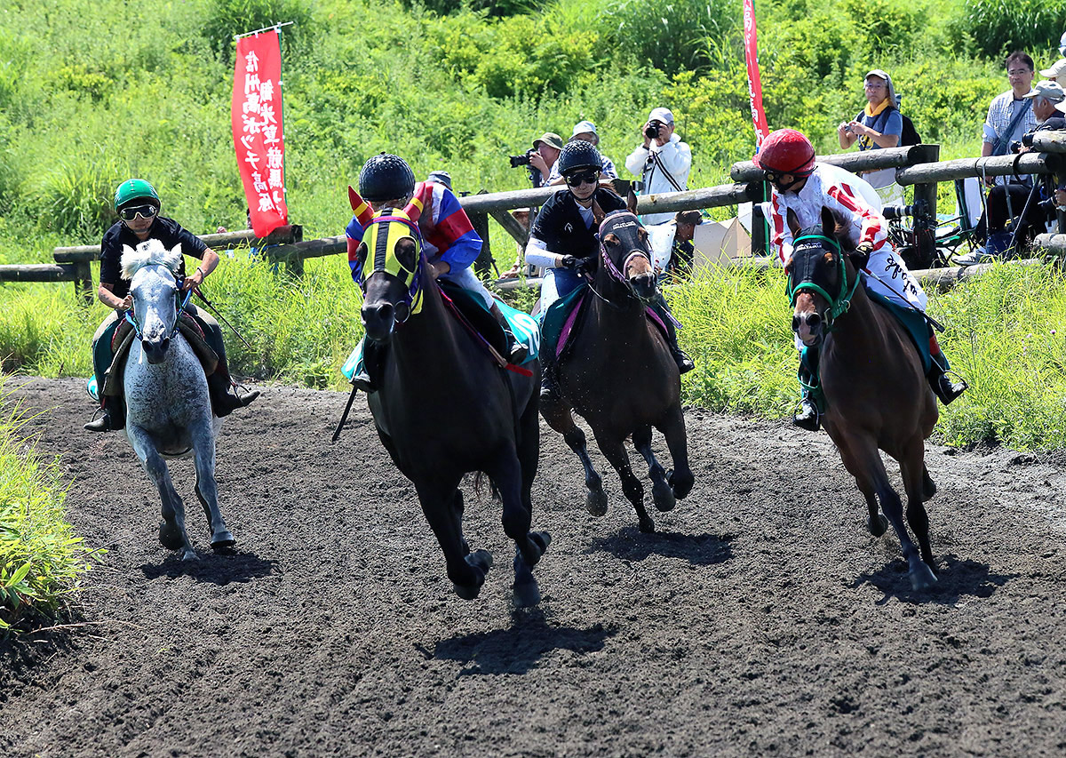 takabocci kogen horse race