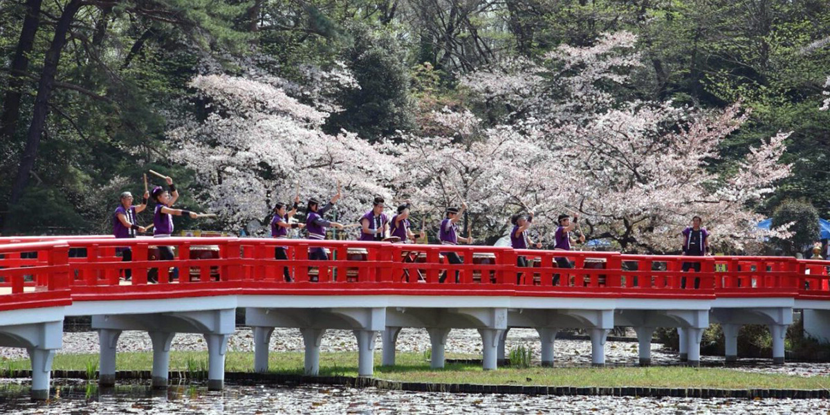 Iwatsuki Castle Park Sakura Festival