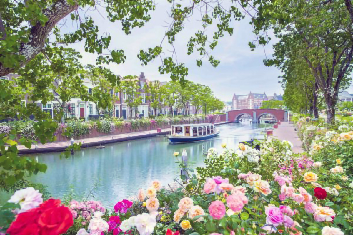 Huis Ten Bosch Rose Festival