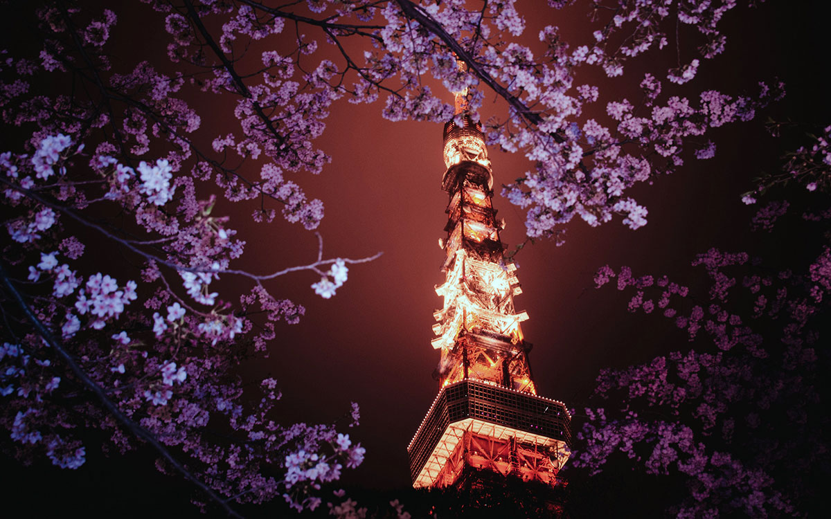 Tokyo Tower night