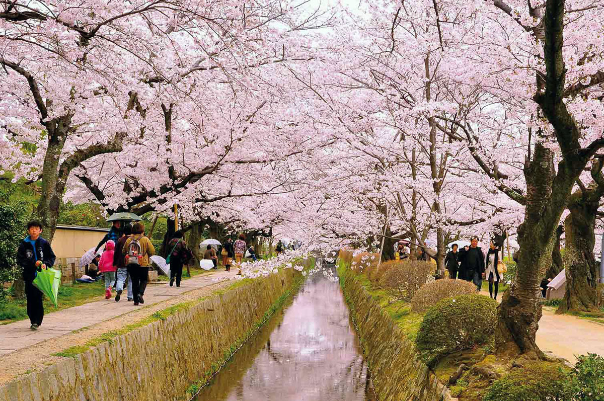 kyoto Philosopher Path