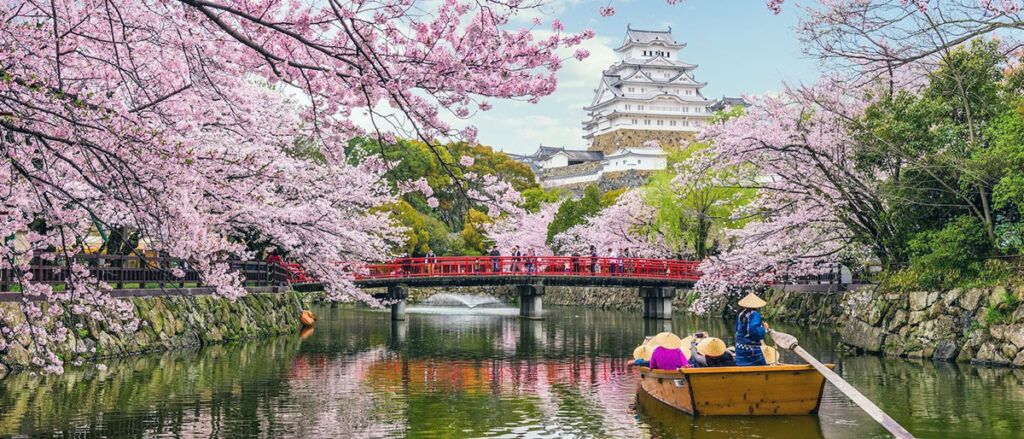 sakura Chidori ga Park