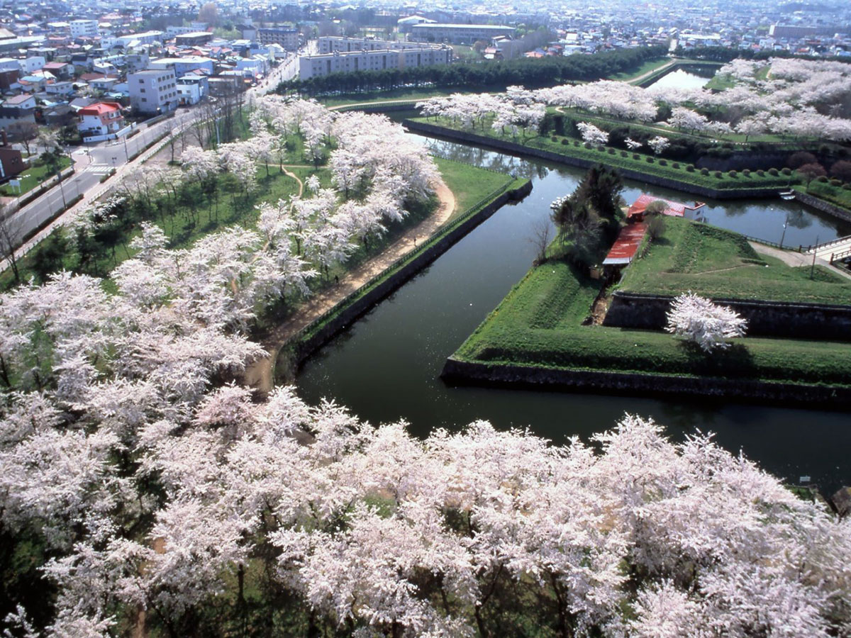 sakura Goryokaku