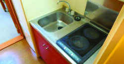 Apartment building レオパレス虹 103