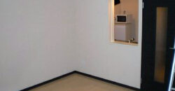 Apartment complex レオネクストシーエスハイム – 552131